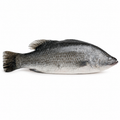 Barramundi (Single Fish) - African grocery Melbourne